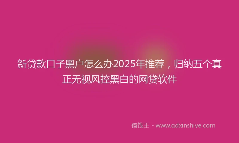 新贷款口子黑户怎么办2025年推荐，归纳五个真正无视风控黑白的网贷软件