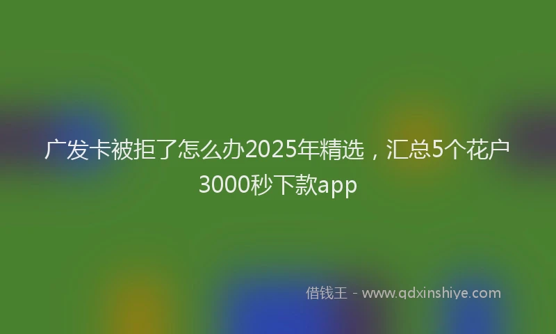 广发卡被拒了怎么办2025年精选，汇总5个花户3000秒下款app