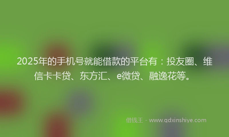 2025年的手机号就能借款的平台有：投友圈、维信卡卡贷、东方汇、e微贷、融逸花等。