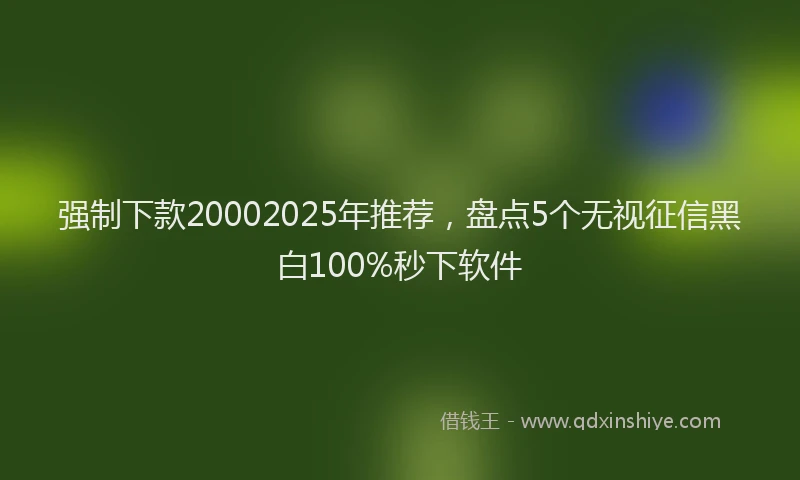 强制下款20002025年推荐，盘点5个无视征信黑白100%秒下软件