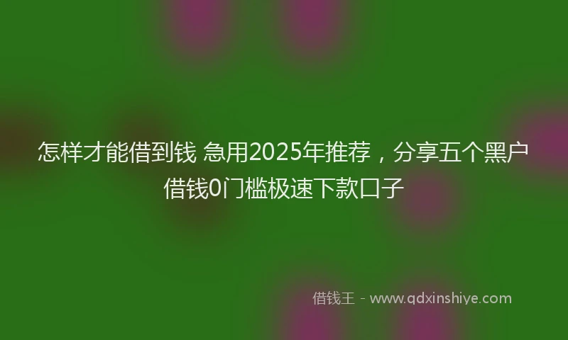 怎样才能借到钱 急用2025年推荐，分享五个黑户借钱0门槛极速下款口子