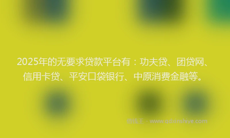 2025年的无要求贷款平台有：功夫贷、团贷网、信用卡贷、平安口袋银行、中原消费金融等。