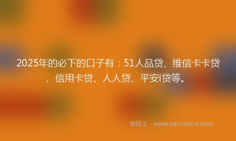 2025年的必下的口子有：51人品贷、维信卡卡贷、信用卡贷、人人贷、平安i贷等。