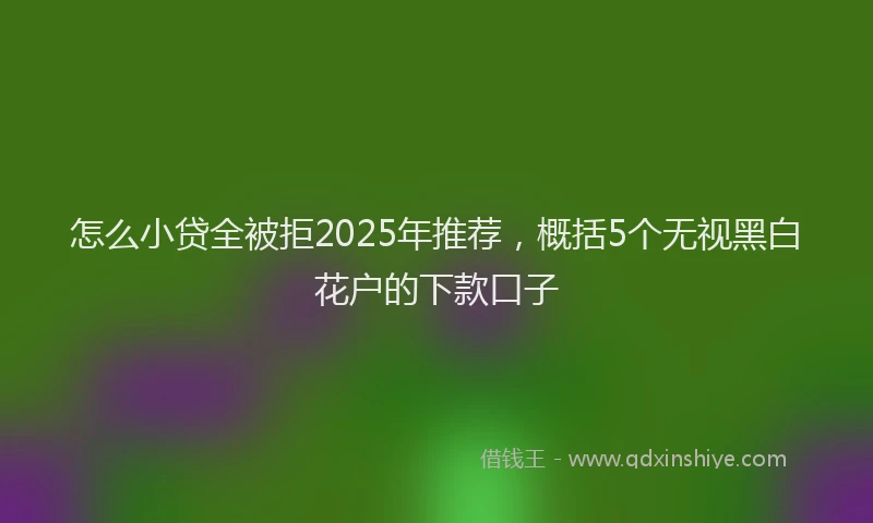怎么小贷全被拒2025年推荐，概括5个无视黑白花户的下款口子