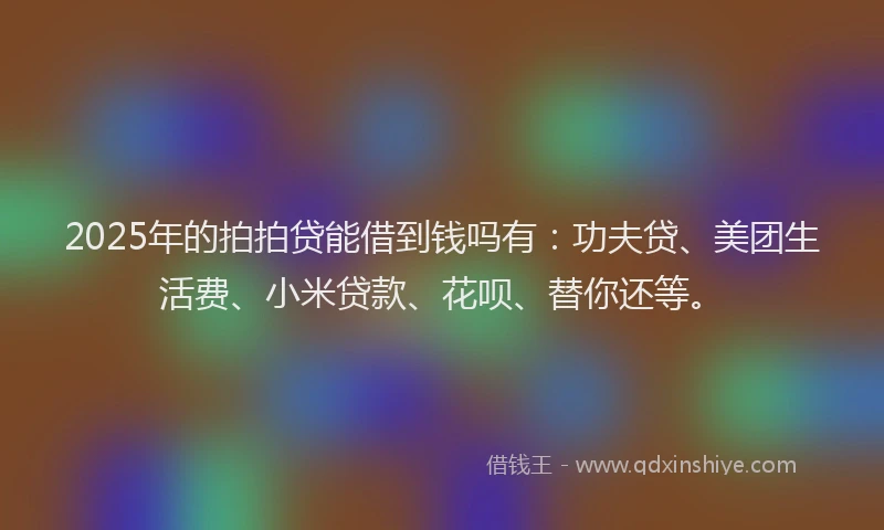 2025年的拍拍贷能借到钱吗有：功夫贷、美团生活费、小米贷款、花呗、替你还等。