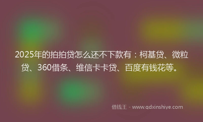 2025年的拍拍贷怎么还不下款有：柯基贷、微粒贷、360借条、维信卡卡贷、百度有钱花等。