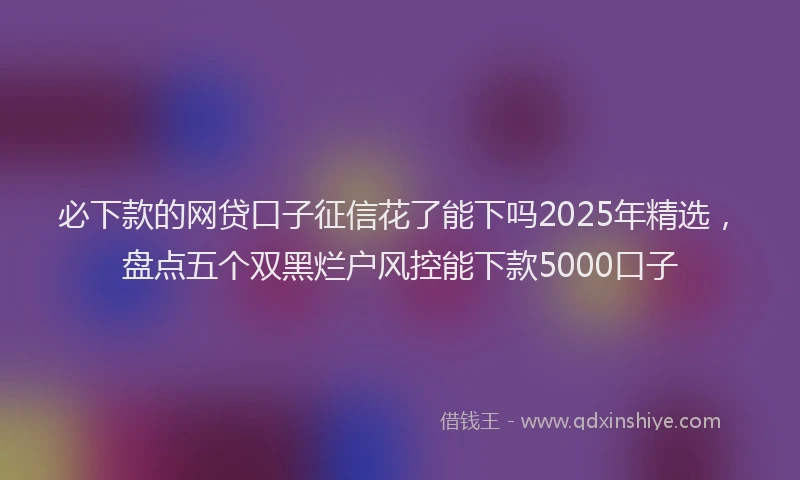必下款的网贷口子征信花了能下吗2025年精选，盘点五个双黑烂户风控能下款5000口子