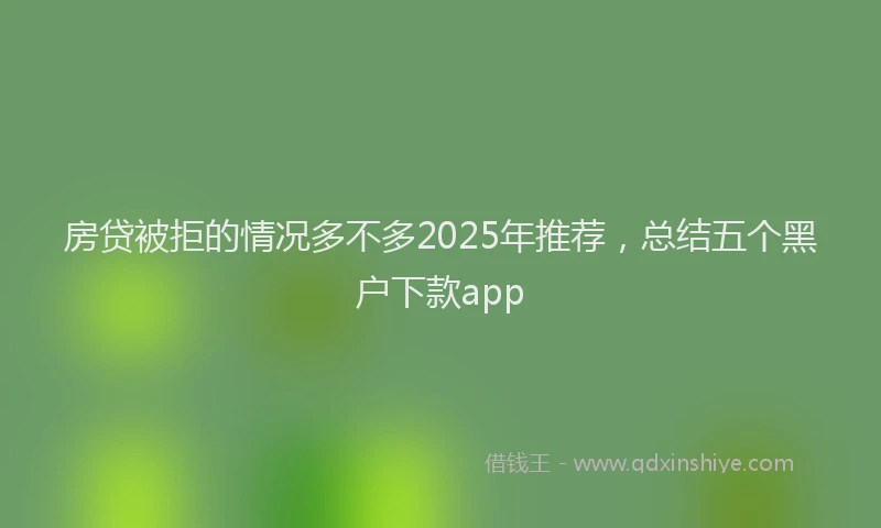 房贷被拒的情况多不多2025年推荐，总结五个黑户下款app