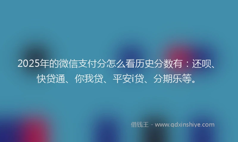 2025年的微信支付分怎么看历史分数有：还呗、快贷通、你我贷、平安i贷、分期乐等。