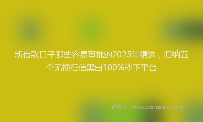 新借款口子哪些容易审批的2025年精选，归纳五个无视征信黑白100%秒下平台