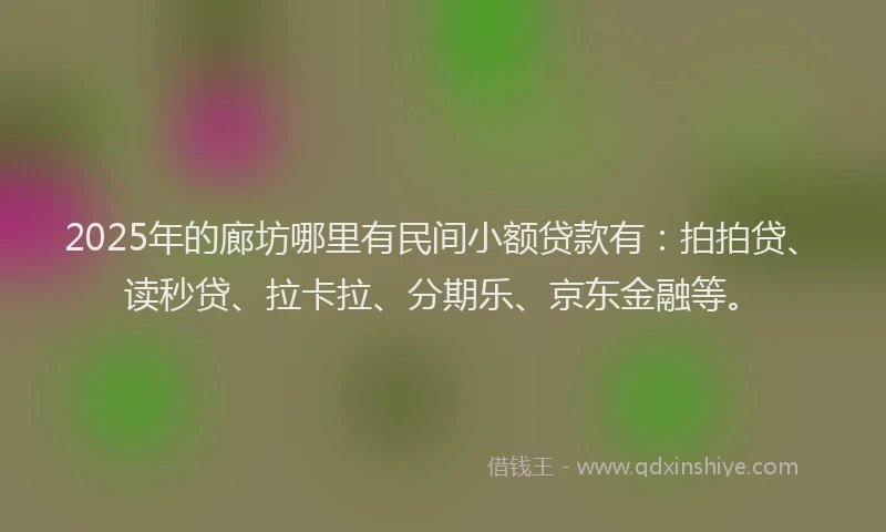 2025年的廊坊哪里有民间小额贷款有：拍拍贷、读秒贷、拉卡拉、分期乐、京东金融等。