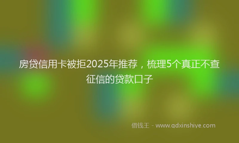 房贷信用卡被拒2025年推荐，梳理5个真正不查征信的贷款口子