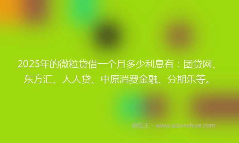 2025年的微粒贷借一个月多少利息有：团贷网、东方汇、人人贷、中原消费金融、分期乐等。