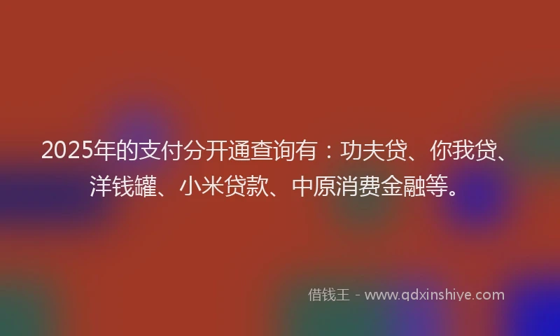 2025年的支付分开通查询有：功夫贷、你我贷、洋钱罐、小米贷款、中原消费金融等。