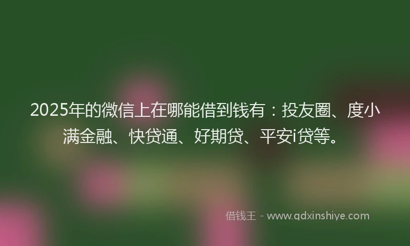 2025年的微信上在哪能借到钱有：投友圈、度小满金融、快贷通、好期贷、平安i贷等。