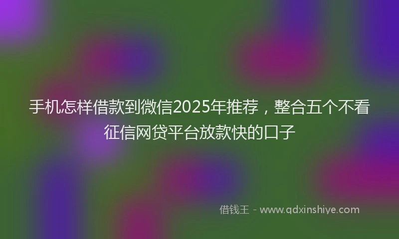 手机怎样借款到微信2025年推荐，整合五个不看征信网贷平台放款快的口子