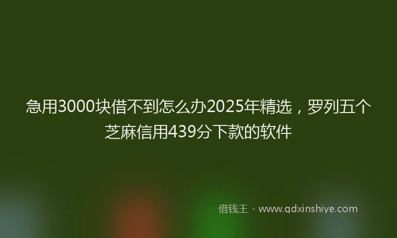急用3000块借不到怎么办2025年精选，罗列五个芝麻信用439分下款的软件