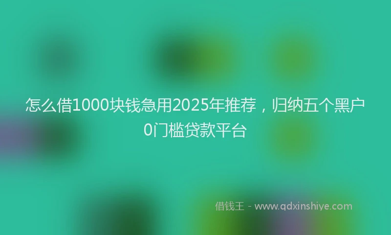 怎么借1000块钱急用2025年推荐，归纳五个黑户0门槛贷款平台