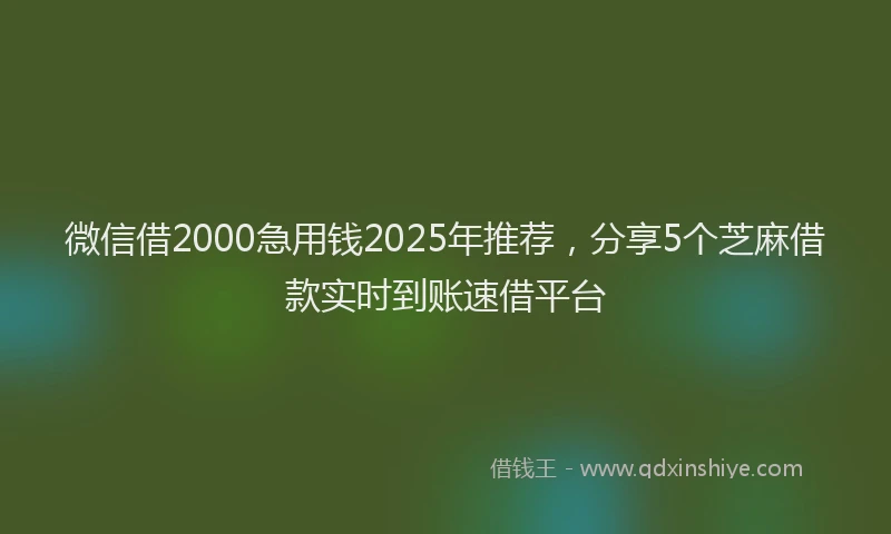 微信借2000急用钱2025年推荐，分享5个芝麻借款实时到账速借平台
