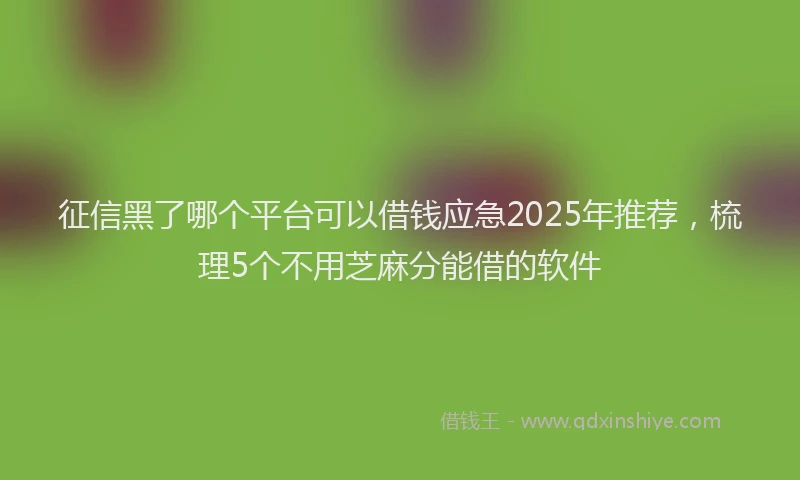 征信黑了哪个平台可以借钱应急2025年推荐，梳理5个不用芝麻分能借的软件