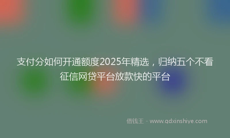 支付分如何开通额度2025年精选，归纳五个不看征信网贷平台放款快的平台