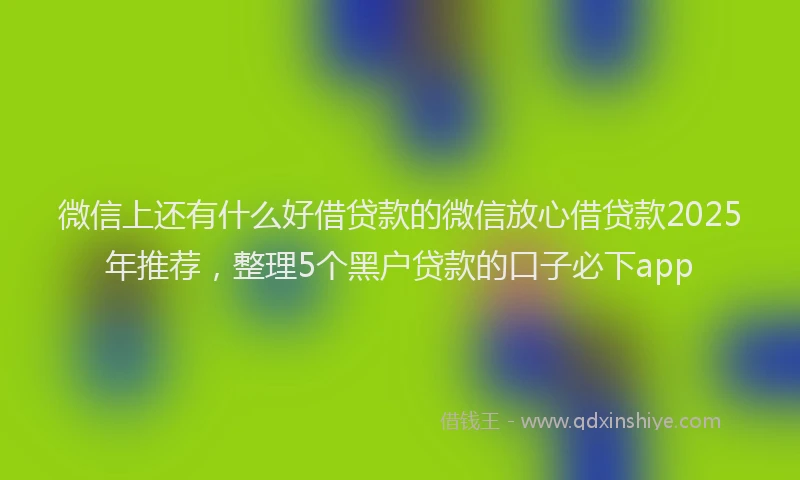 微信上还有什么好借贷款的微信放心借贷款2025年推荐，整理5个黑户贷款的口子必下app