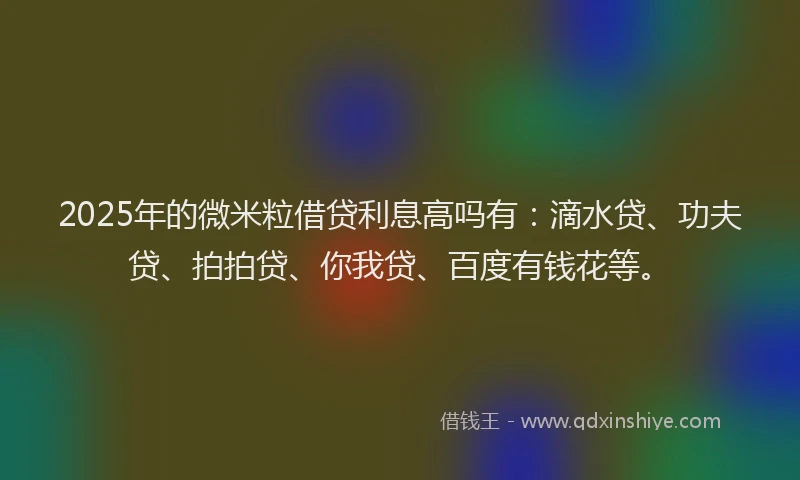 2025年的微米粒借贷利息高吗有：滴水贷、功夫贷、拍拍贷、你我贷、百度有钱花等。