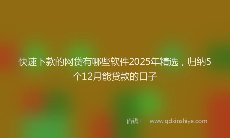快速下款的网贷有哪些软件2025年精选，归纳5个12月能贷款的口子