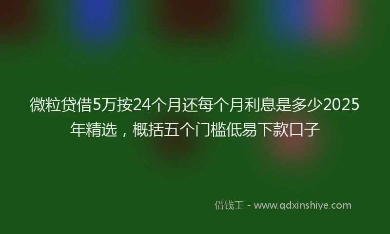微粒贷借5万按24个月还每个月利息是多少2025年精选，概括五个门槛低易下款口子