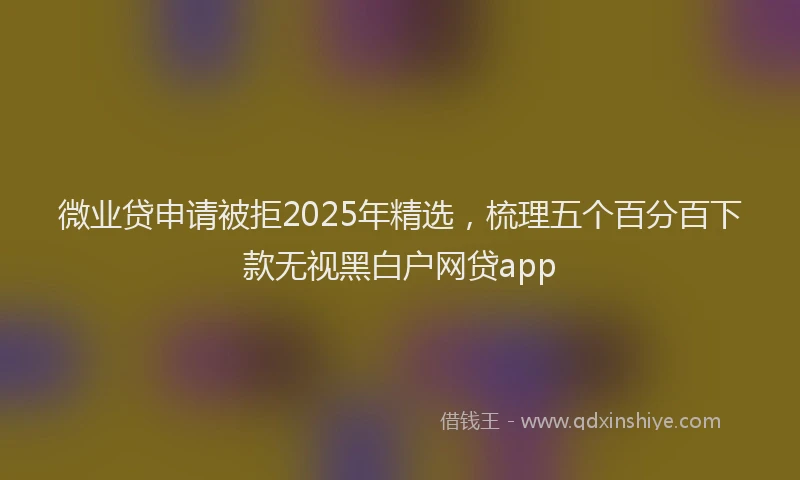 微业贷申请被拒2025年精选，梳理五个百分百下款无视黑白户网贷app