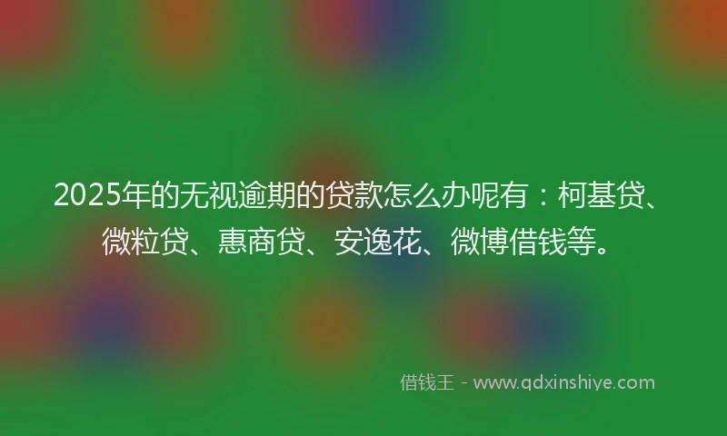 2025年的无视逾期的贷款怎么办呢有：柯基贷、微粒贷、惠商贷、安逸花、微博借钱等。