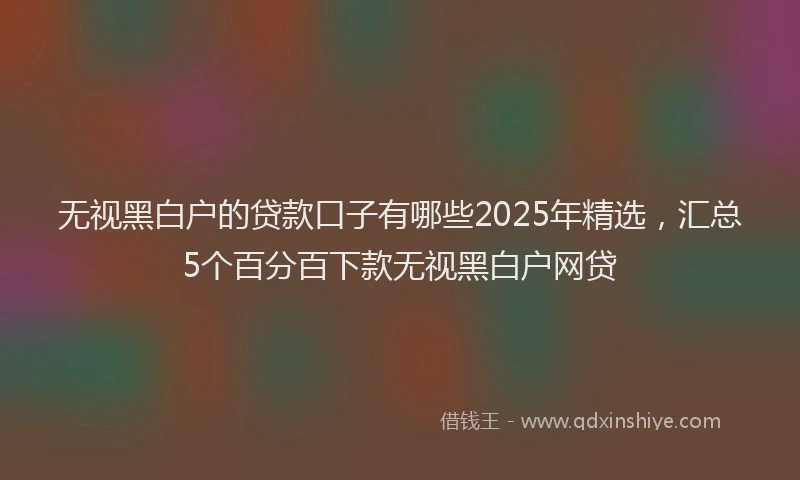无视黑白户的贷款口子有哪些2025年精选，汇总5个百分百下款无视黑白户网贷