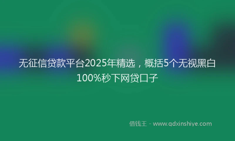 无征信贷款平台2025年精选，概括5个无视黑白100%秒下网贷口子