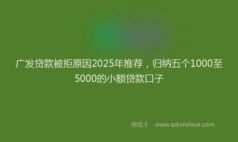 广发贷款被拒原因2025年推荐，归纳五个1000至5000的小额贷款口子