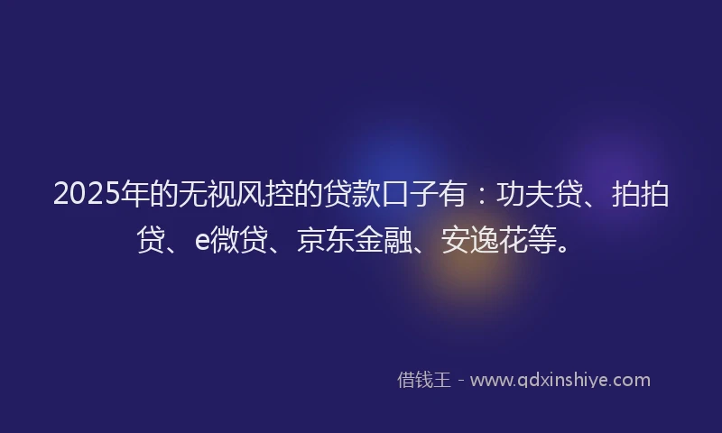2025年的无视风控的贷款口子有：功夫贷、拍拍贷、e微贷、京东金融、安逸花等。