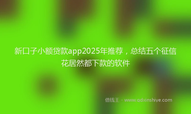 新口子小额贷款app2025年推荐，总结五个征信花居然都下款的软件
