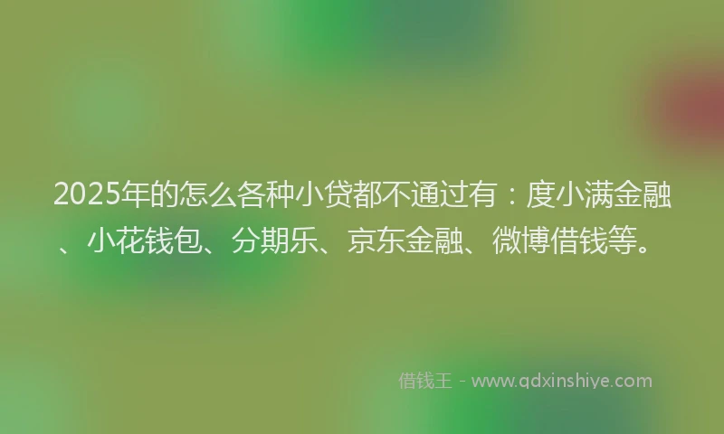 2025年的怎么各种小贷都不通过有：度小满金融、小花钱包、分期乐、京东金融、微博借钱等。