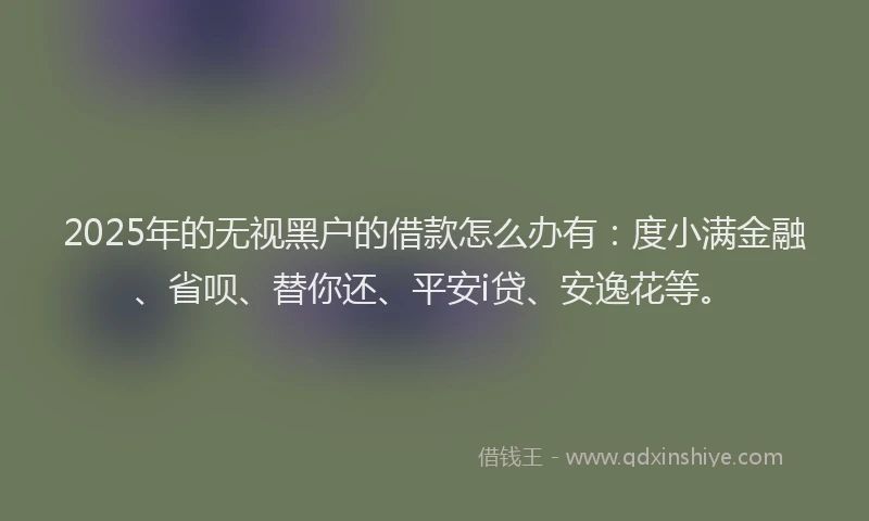 2025年的无视黑户的借款怎么办有：度小满金融、省呗、替你还、平安i贷、安逸花等。