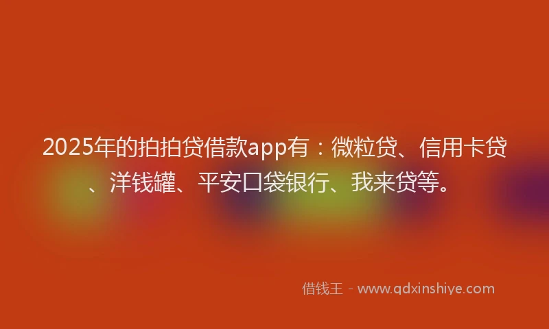2025年的拍拍贷借款app有：微粒贷、信用卡贷、洋钱罐、平安口袋银行、我来贷等。