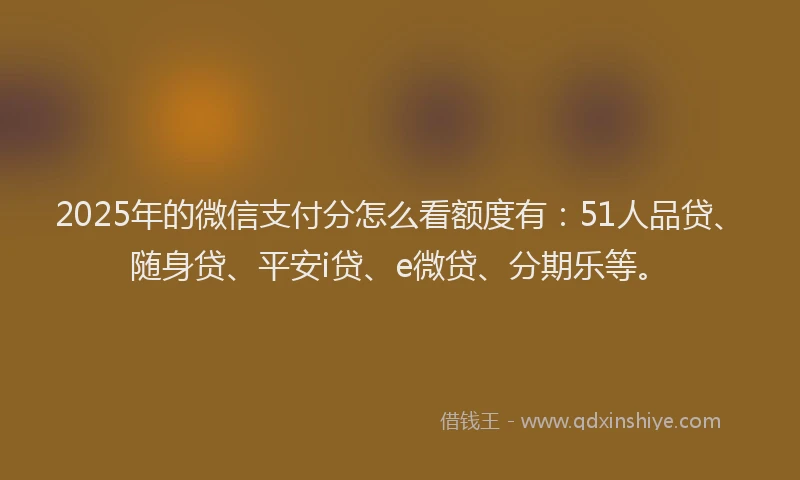 2025年的微信支付分怎么看额度有：51人品贷、随身贷、平安i贷、e微贷、分期乐等。