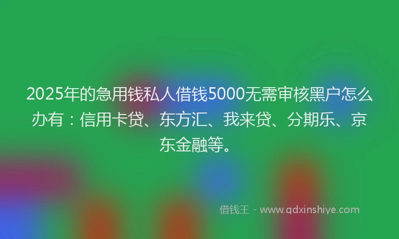 2025年的急用钱私人借钱5000无需审核黑户怎么办有：信用卡贷、东方汇、我来贷、分期乐、京东金融等。