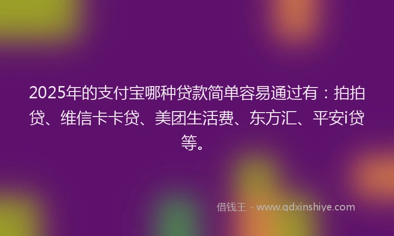 2025年的支付宝哪种贷款简单容易通过有：拍拍贷、维信卡卡贷、美团生活费、东方汇、平安i贷等。