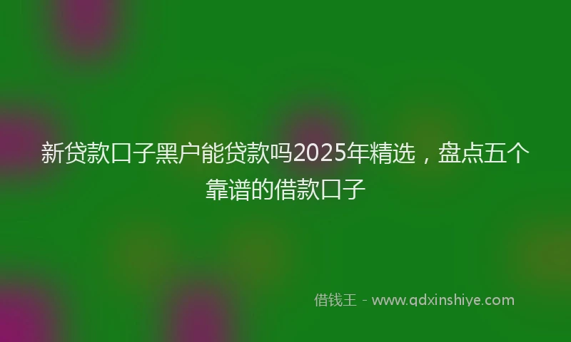 新贷款口子黑户能贷款吗2025年精选，盘点五个靠谱的借款口子