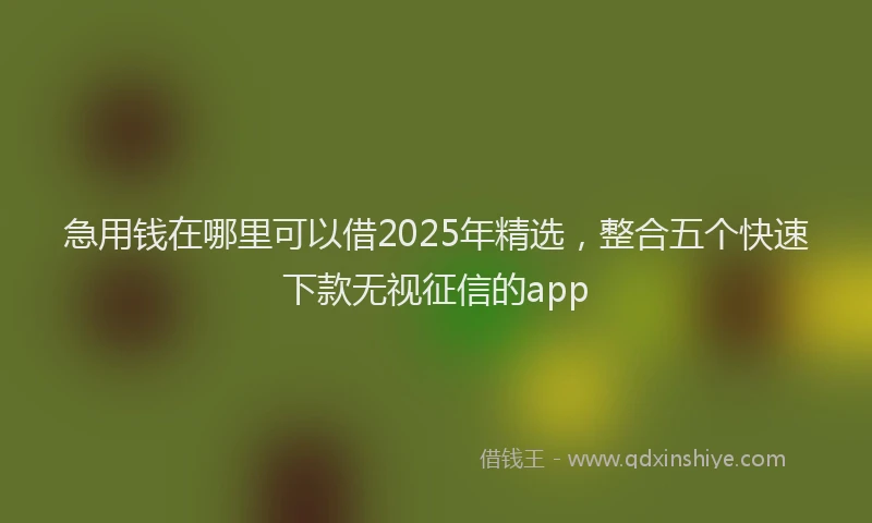 急用钱在哪里可以借2025年精选，整合五个快速下款无视征信的app