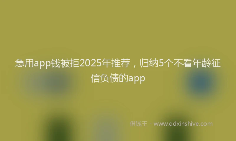 急用app钱被拒2025年推荐，归纳5个不看年龄征信负债的app