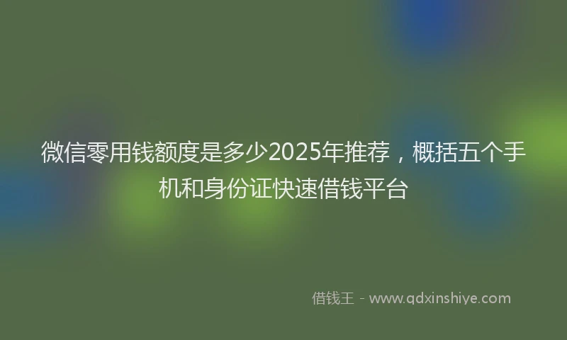 微信零用钱额度是多少2025年推荐，概括五个手机和身份证快速借钱平台