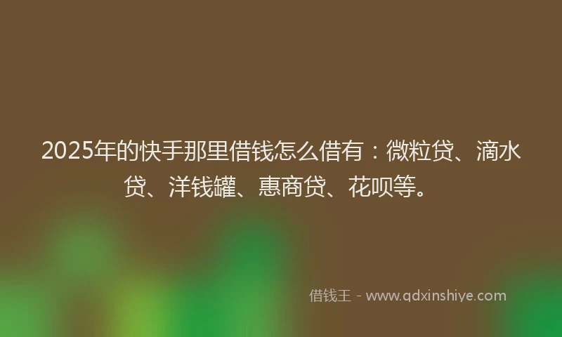 2025年的快手那里借钱怎么借有：微粒贷、滴水贷、洋钱罐、惠商贷、花呗等。