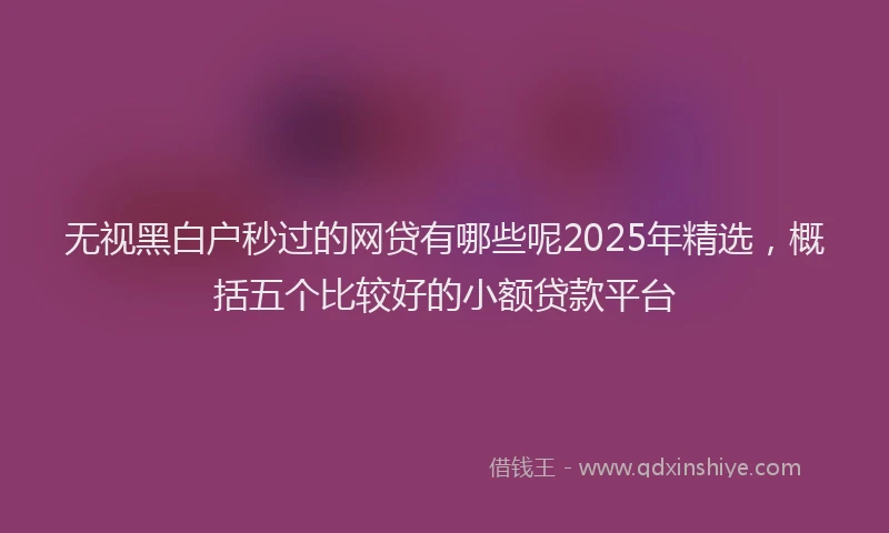 无视黑白户秒过的网贷有哪些呢2025年精选，概括五个比较好的小额贷款平台