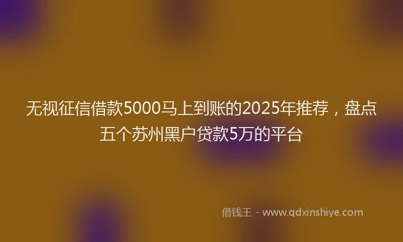 无视征信借款5000马上到账的2025年推荐，盘点五个苏州黑户贷款5万的平台