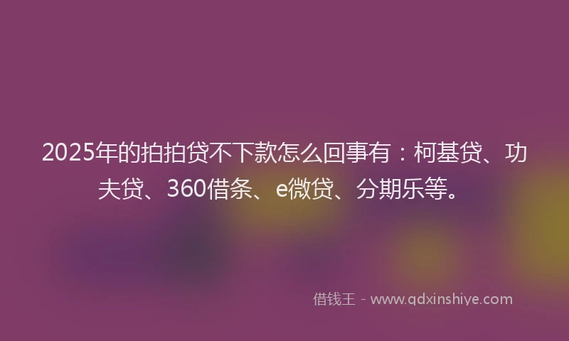 2025年的拍拍贷不下款怎么回事有：柯基贷、功夫贷、360借条、e微贷、分期乐等。